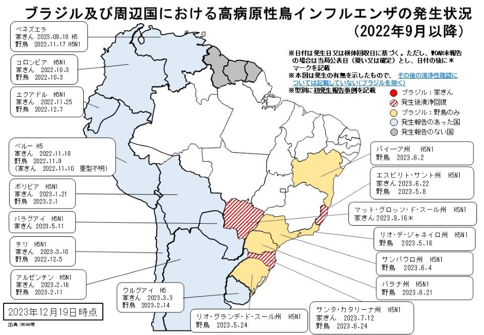 231219ブラジルHPAI