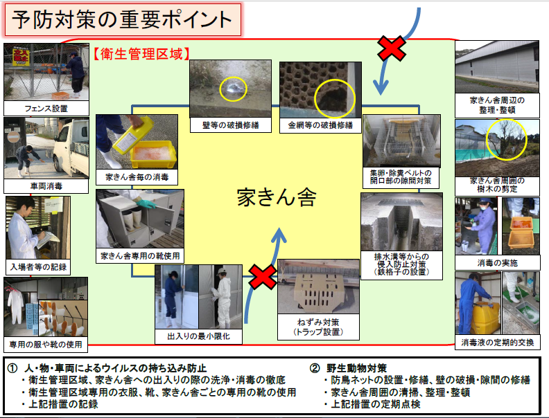 発生予防対策の重要ポイント