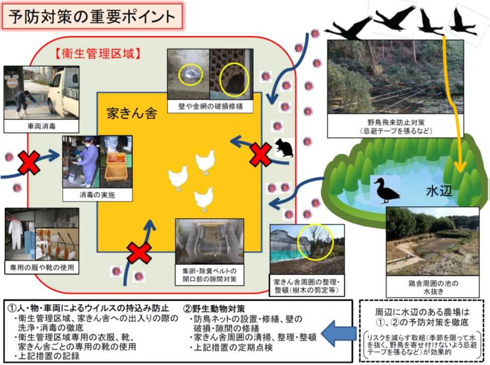 予防対策の重要ポイント