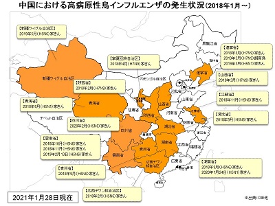 中国での発生地図