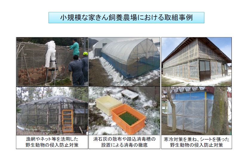 小規模農場における鳥インフルエンザ対策