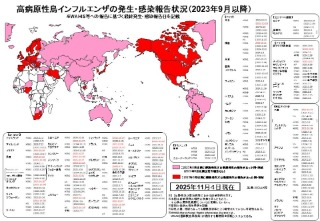 251104世界鳥フル発生状況