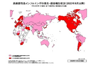 251104世界鳥フル発生状況_文字なし