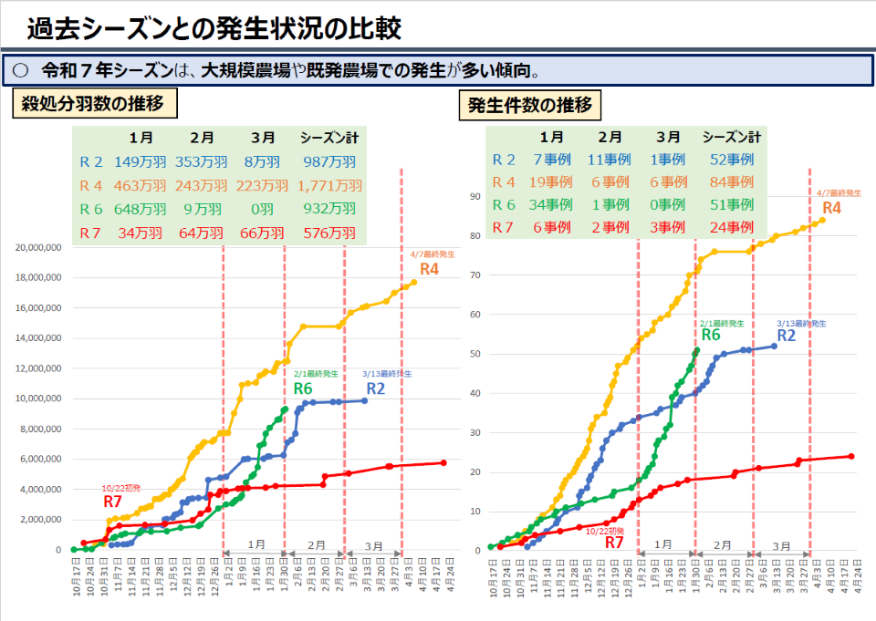 過去シーズン(R2、R4、R6、R7)との殺処分羽数と発生件数の推移を比較した折れ線グラフ