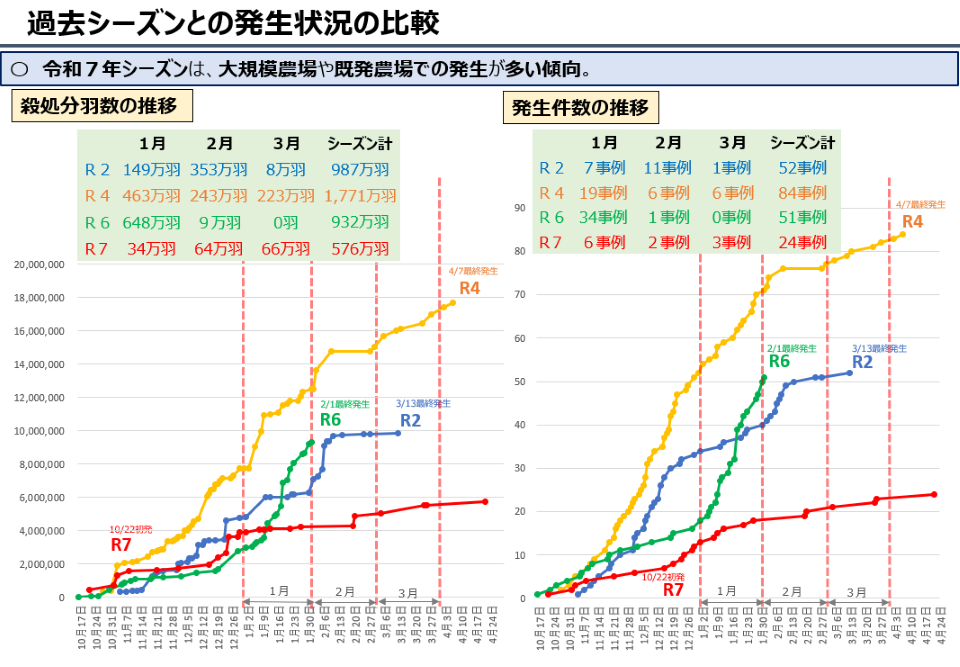 過去シーズン(R2、R4、R6、R7)との殺処分羽数と発生件数の推移を比較した折れ線グラフ