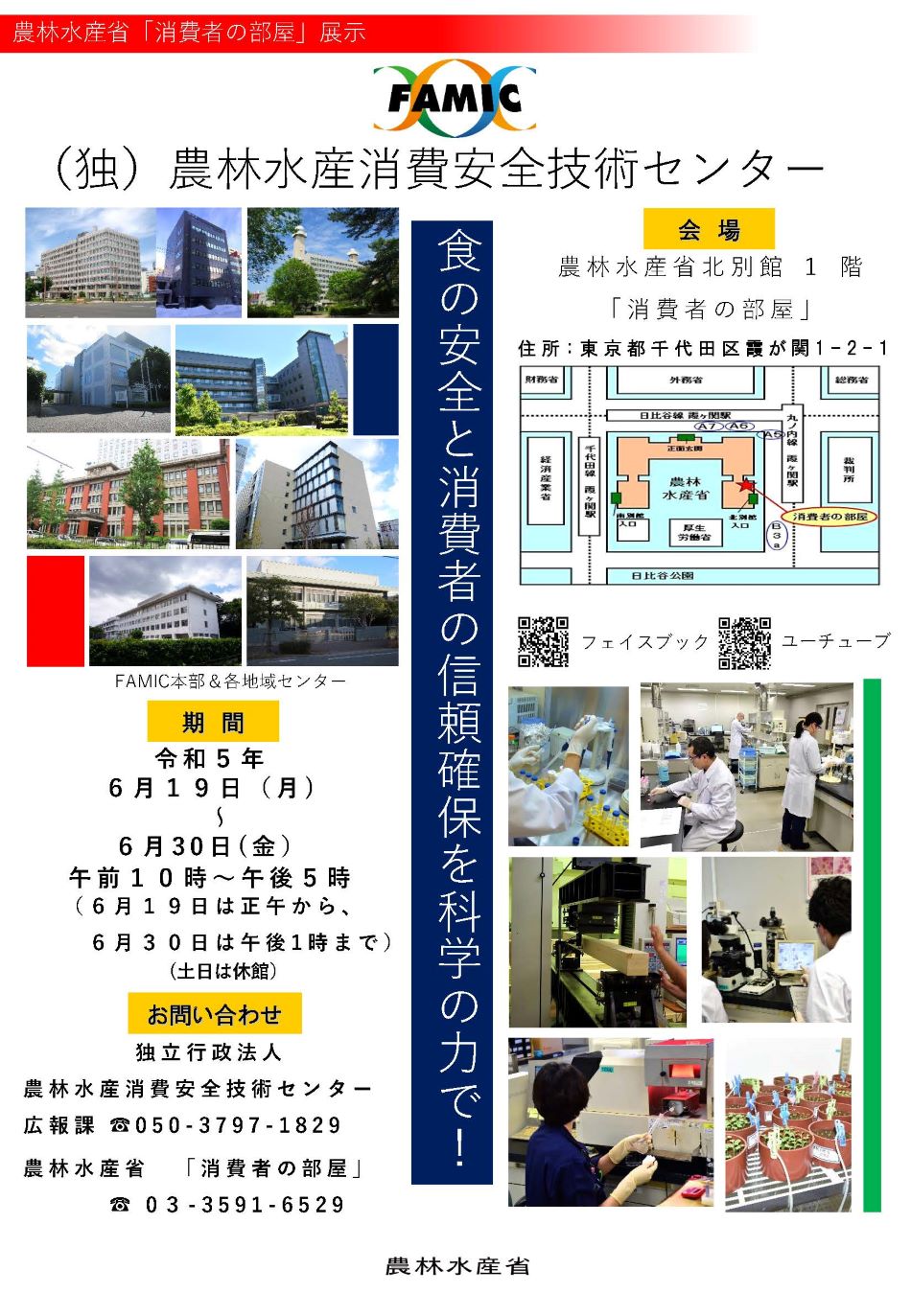 展示内容のチラシ