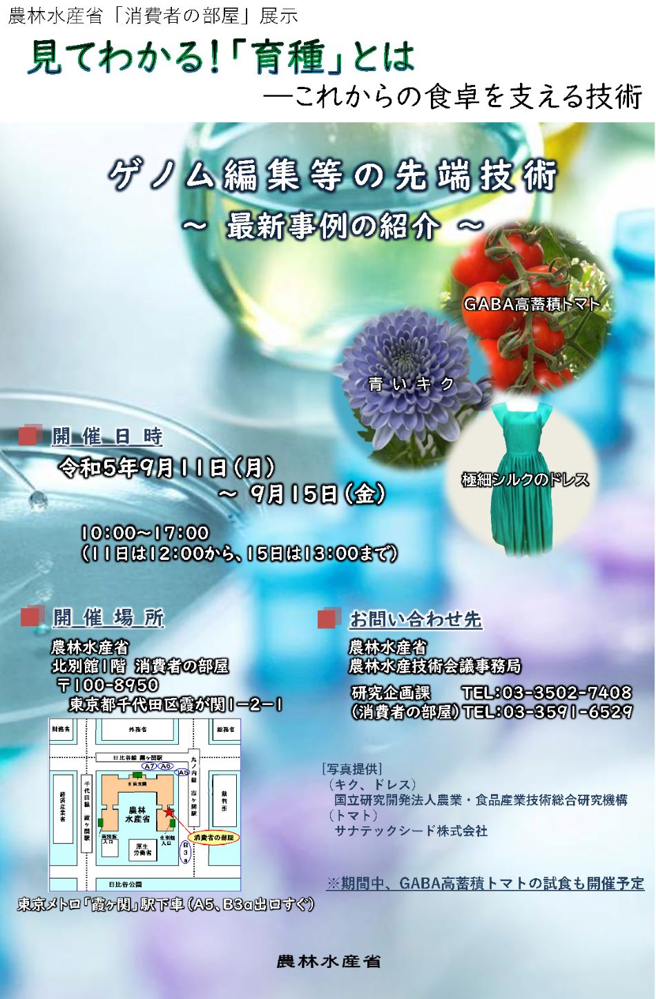 展示内容のチラシ