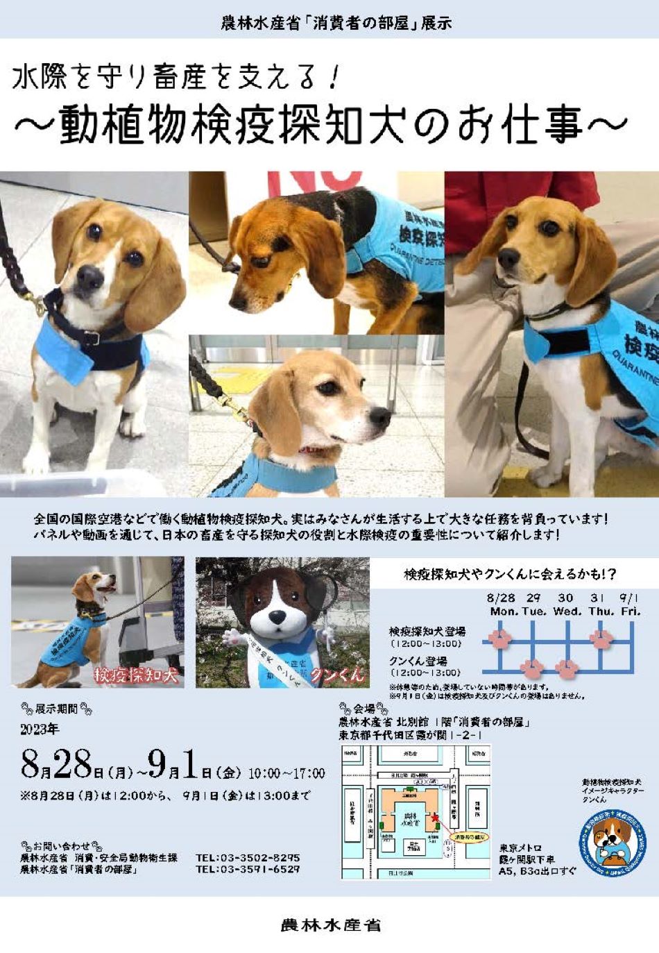 展示内容のPRチラシ