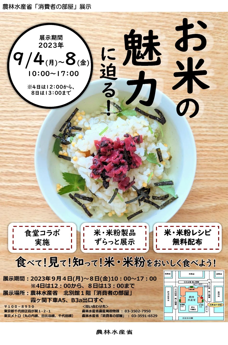 展示内容のチラシ