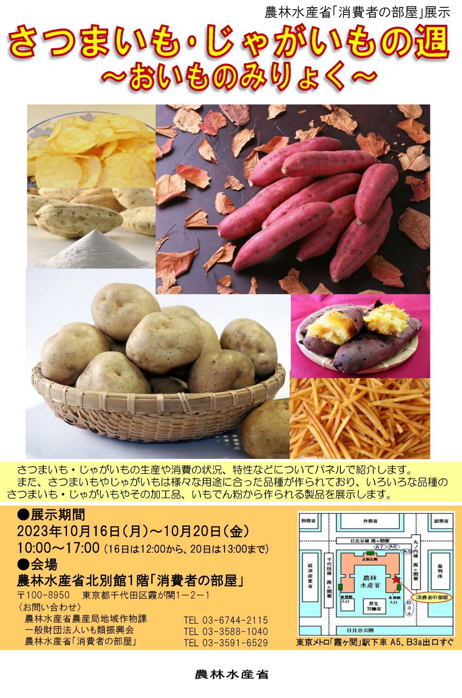 展示内容のチラシ