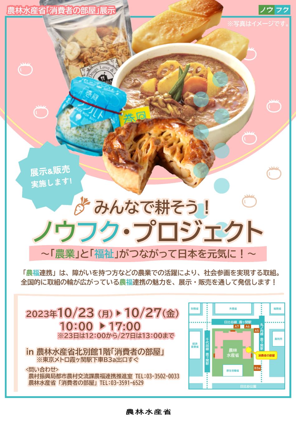 展示内容のチラシ