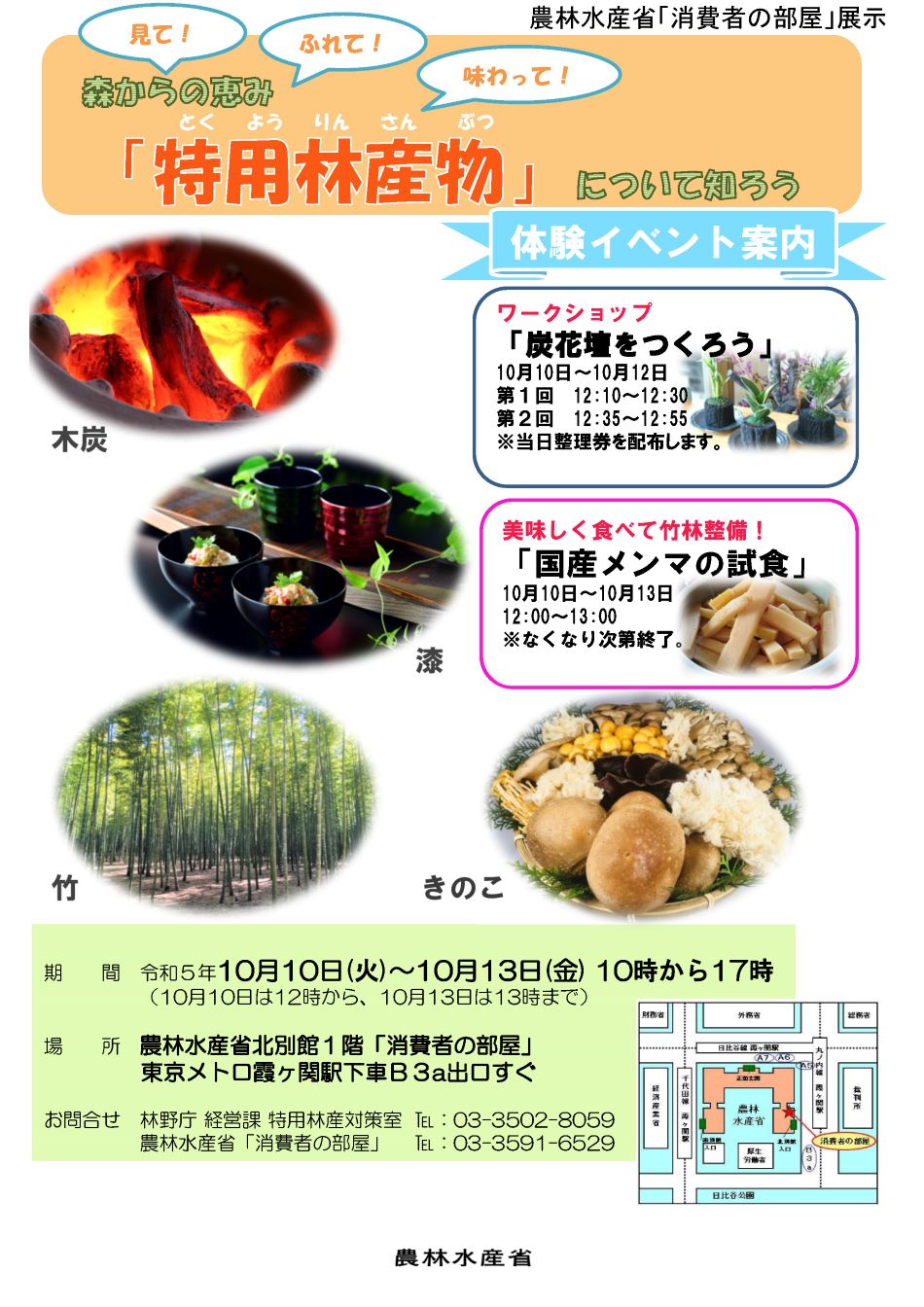 展示内容のチラシ