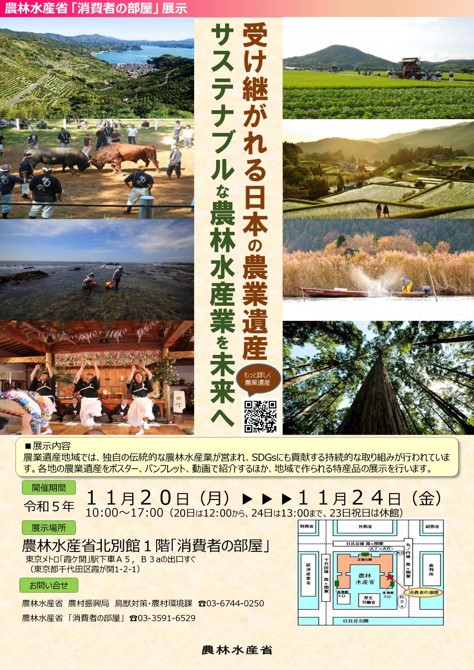 展示内容のチラシ