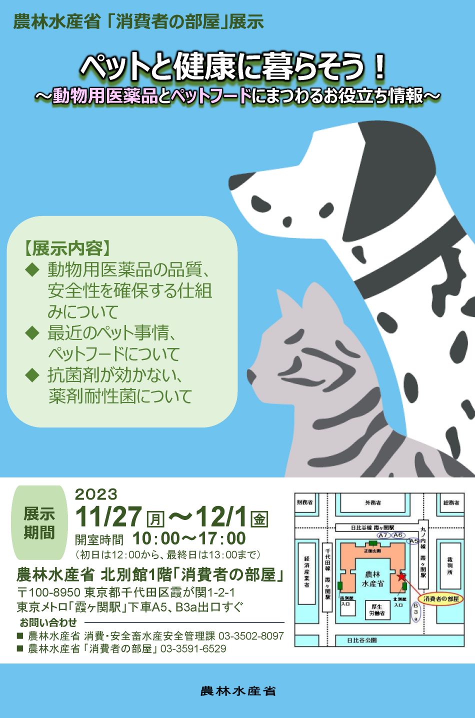 展示内容のチラシ