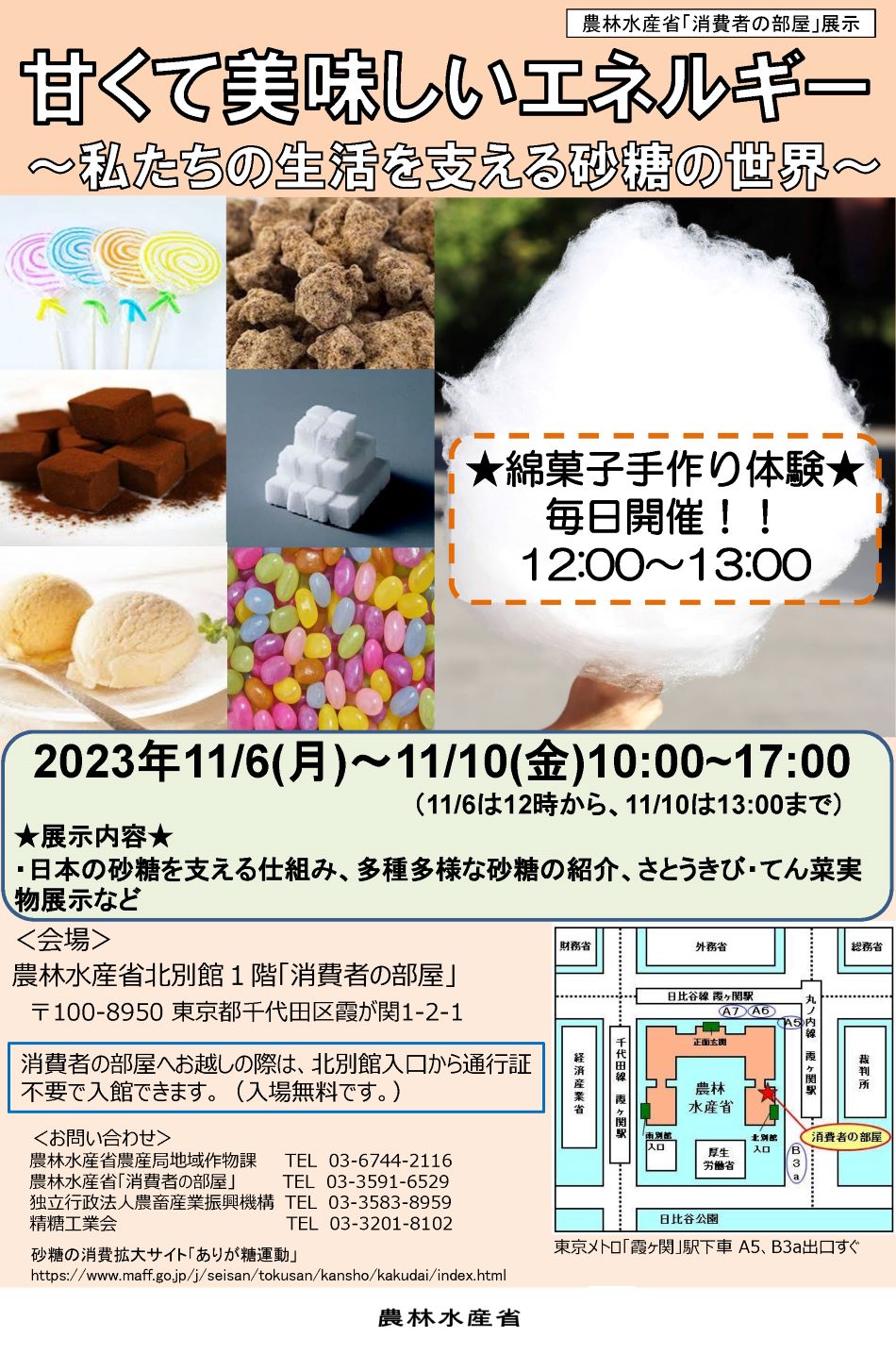 展示内容のチラシ