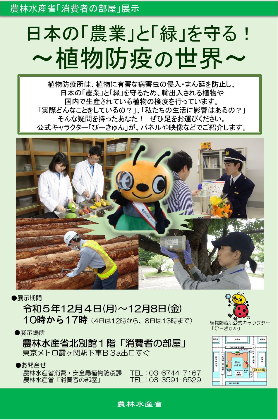 展示内容のチラシ