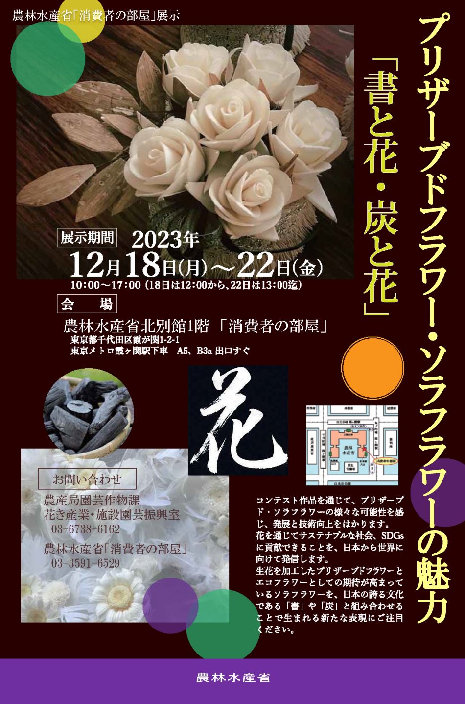 展示内容のチラシ