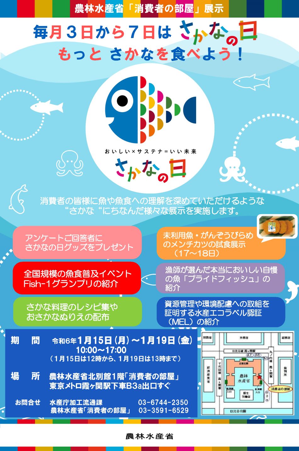 展示内容のチラシ