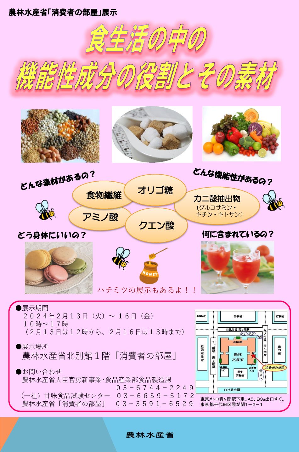 展示内容のチラシ