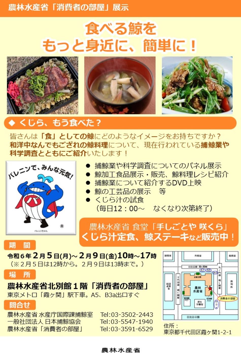 展示内容のチラシ