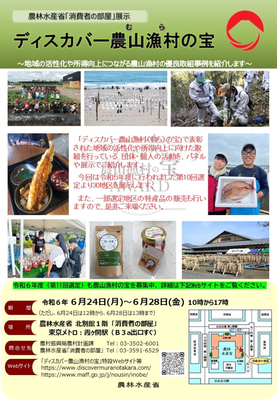 展示内容のチラシ