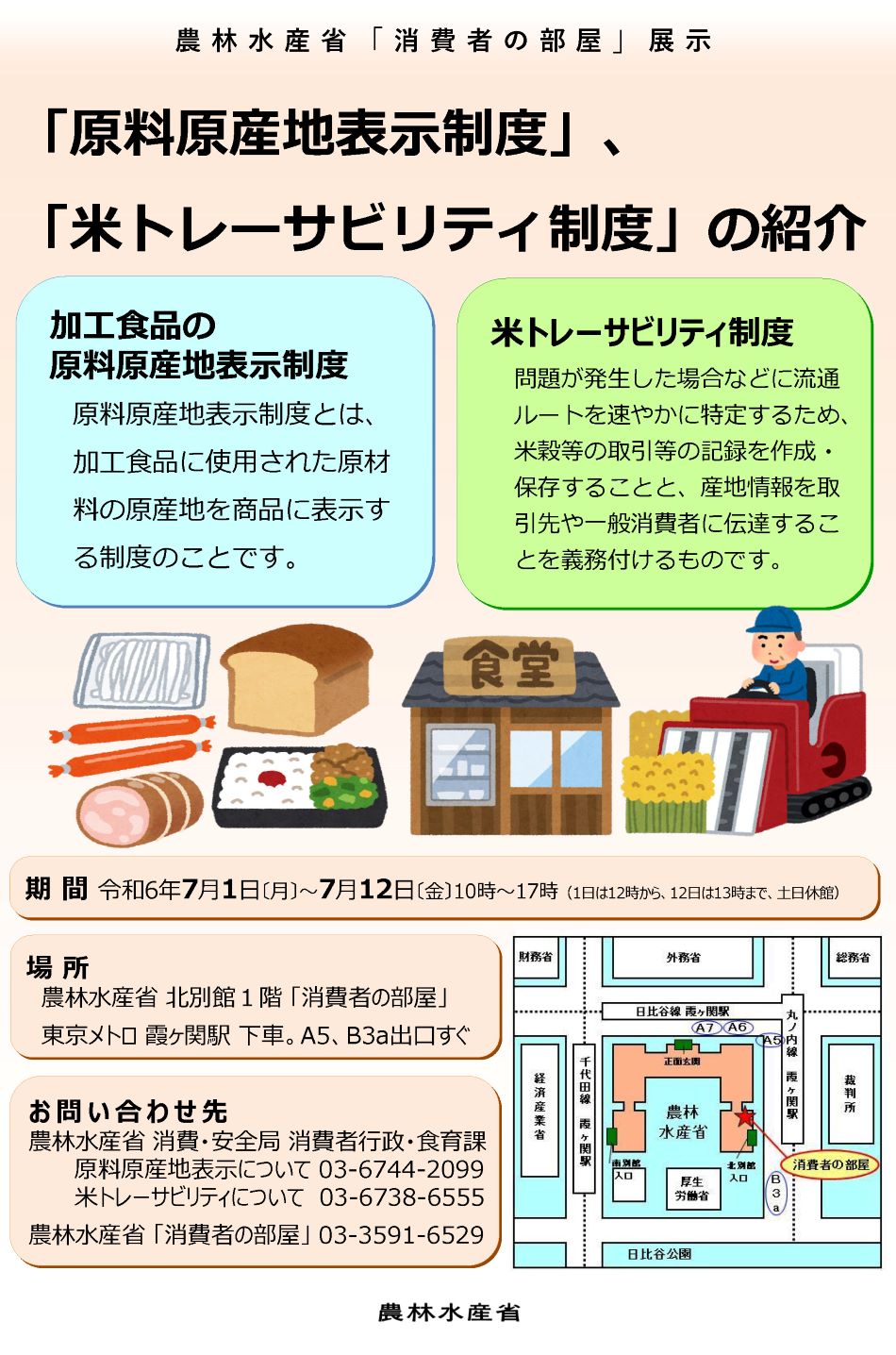 展示内容のチラシ