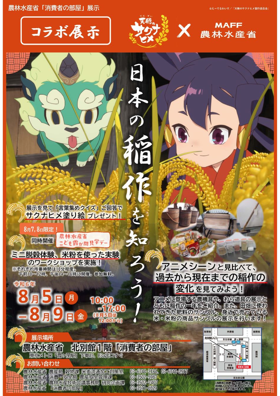 展示内容のチラシ