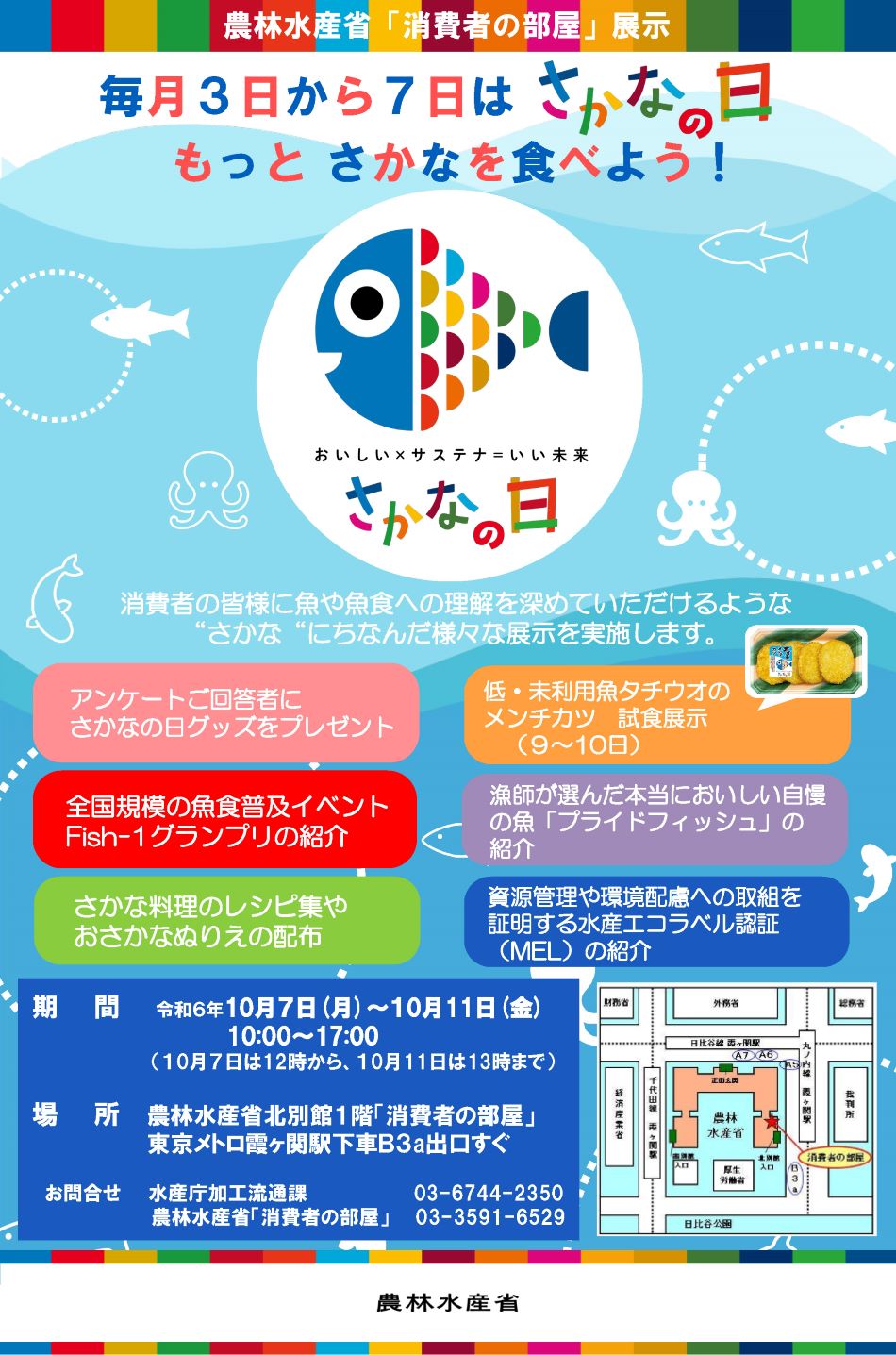 展示内容のチラシ