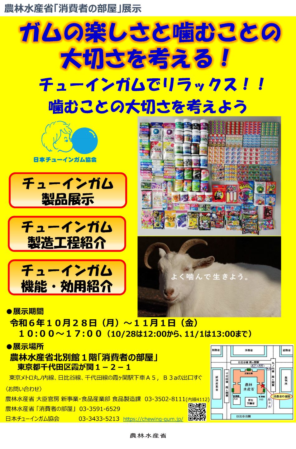 展示内容のチラシ