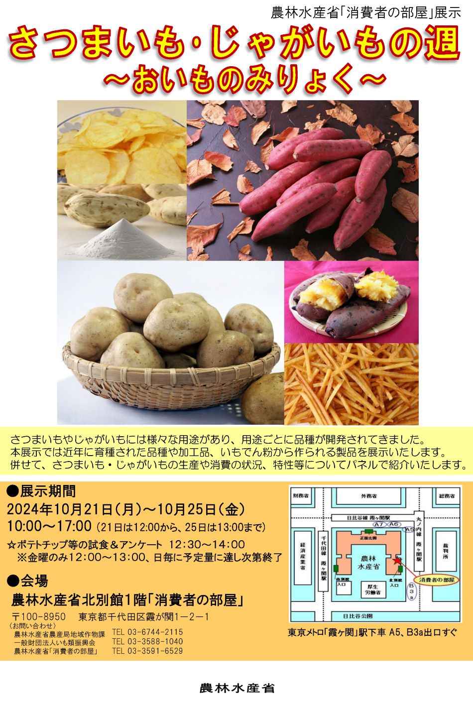 展示内容のチラシ