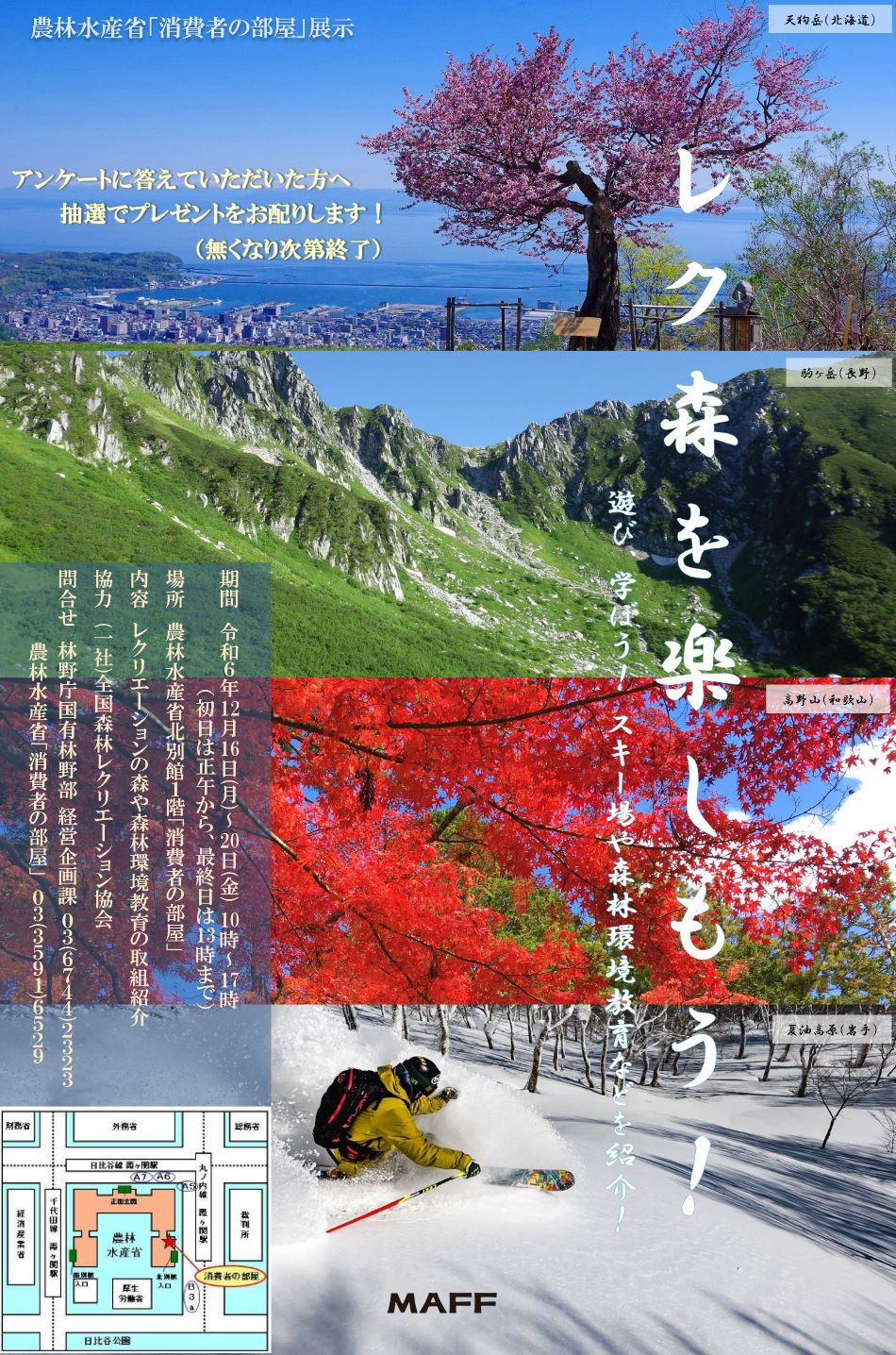 展示内容のチラシ