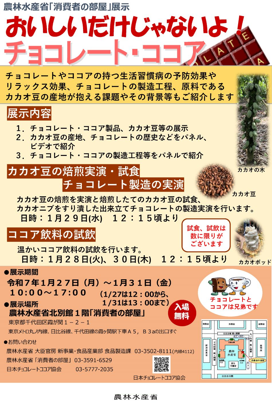 展示内容のチラシ