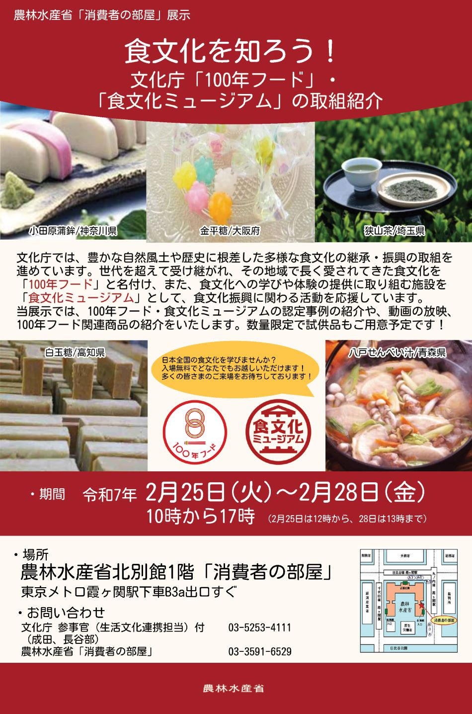 展示内容のチラシ