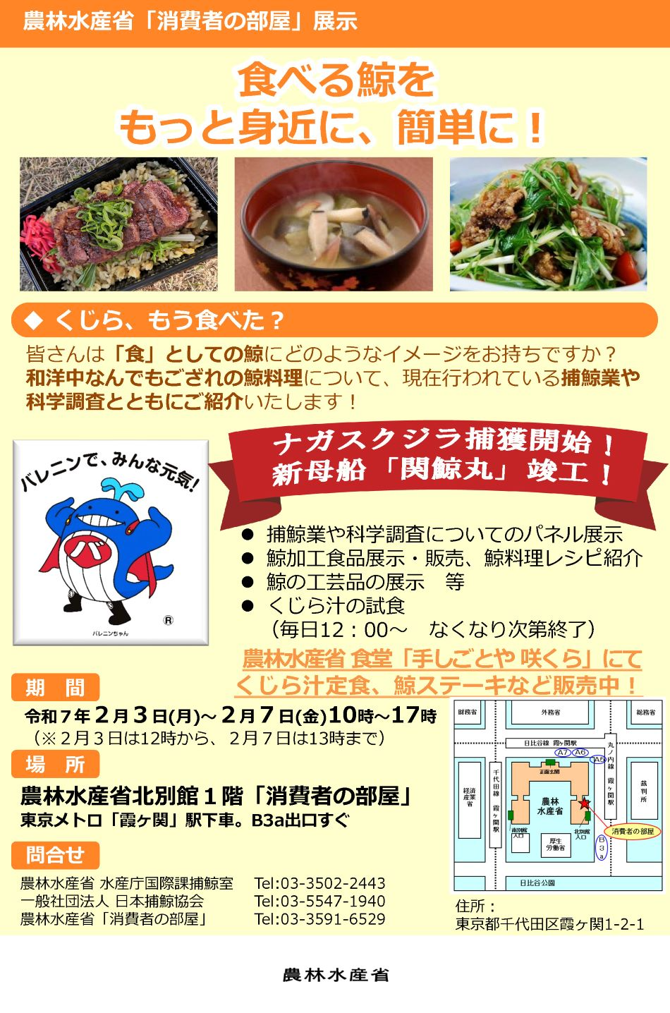 展示内容のチラシ