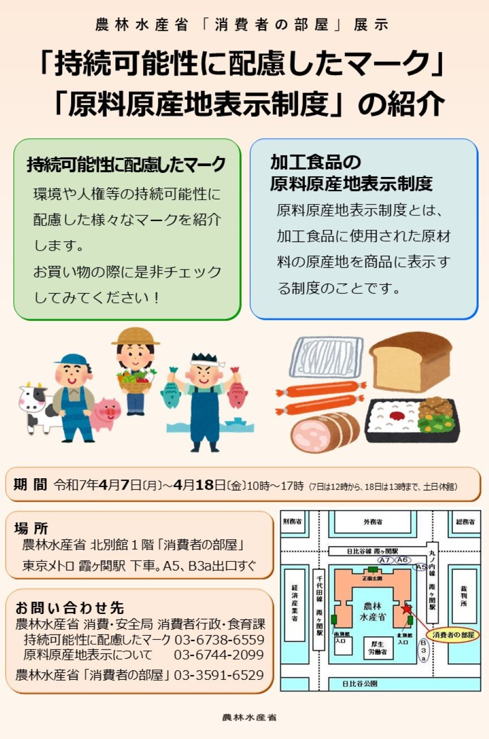 展示内容のチラシ