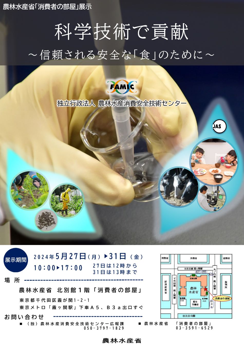 展示内容のチラシ