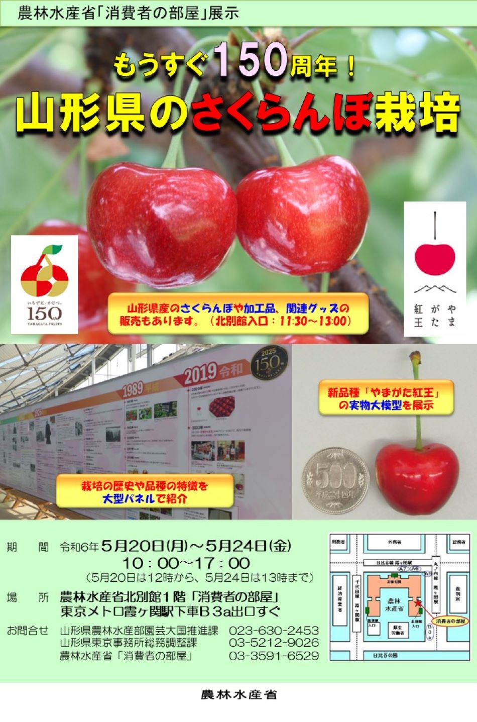 展示内容のチラシ