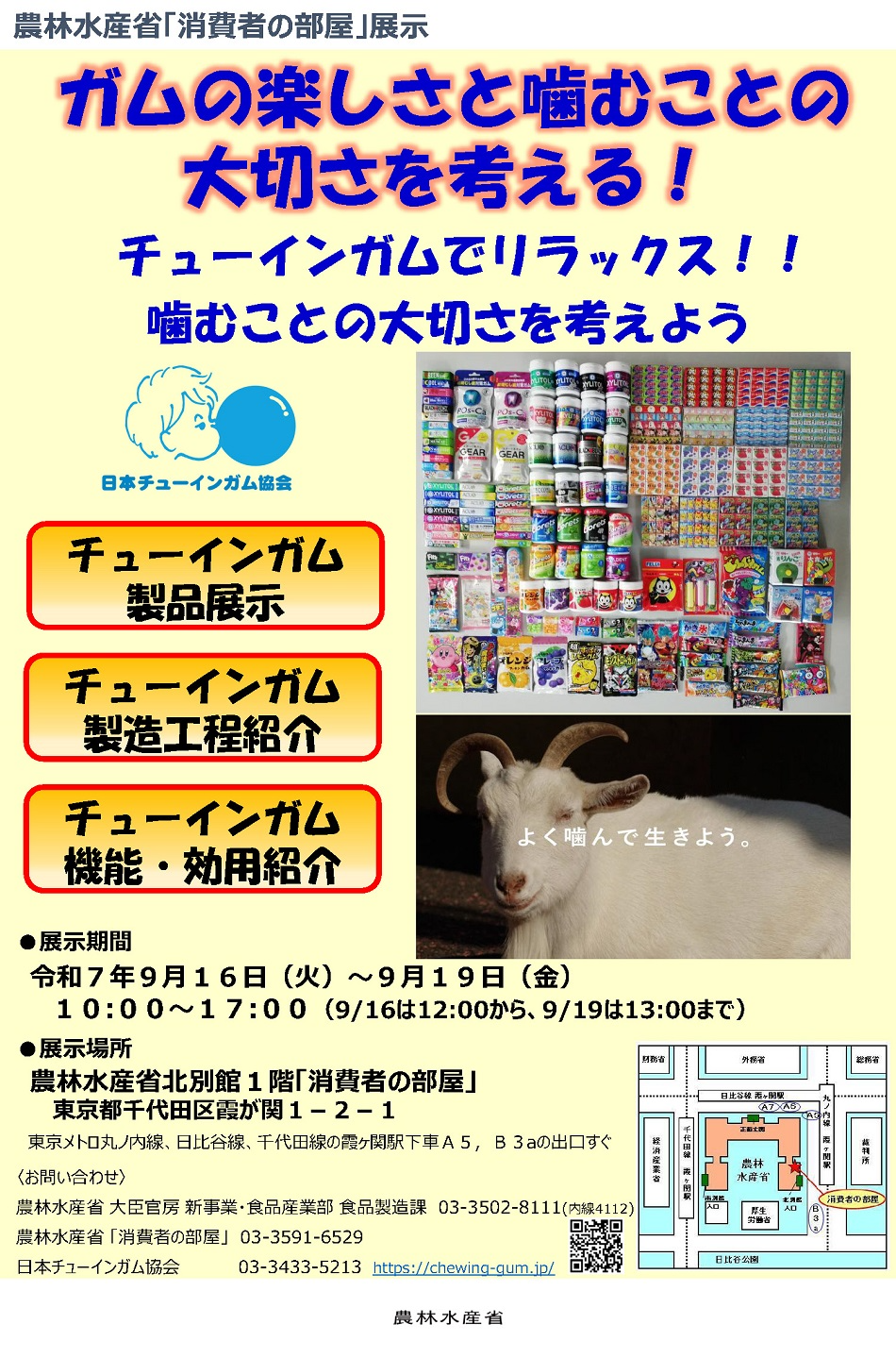 2509「ガムの楽しさと噛むことの大切さを考える!」 ~チューインガムでリラックス!!噛むことの大切さを考えよう~