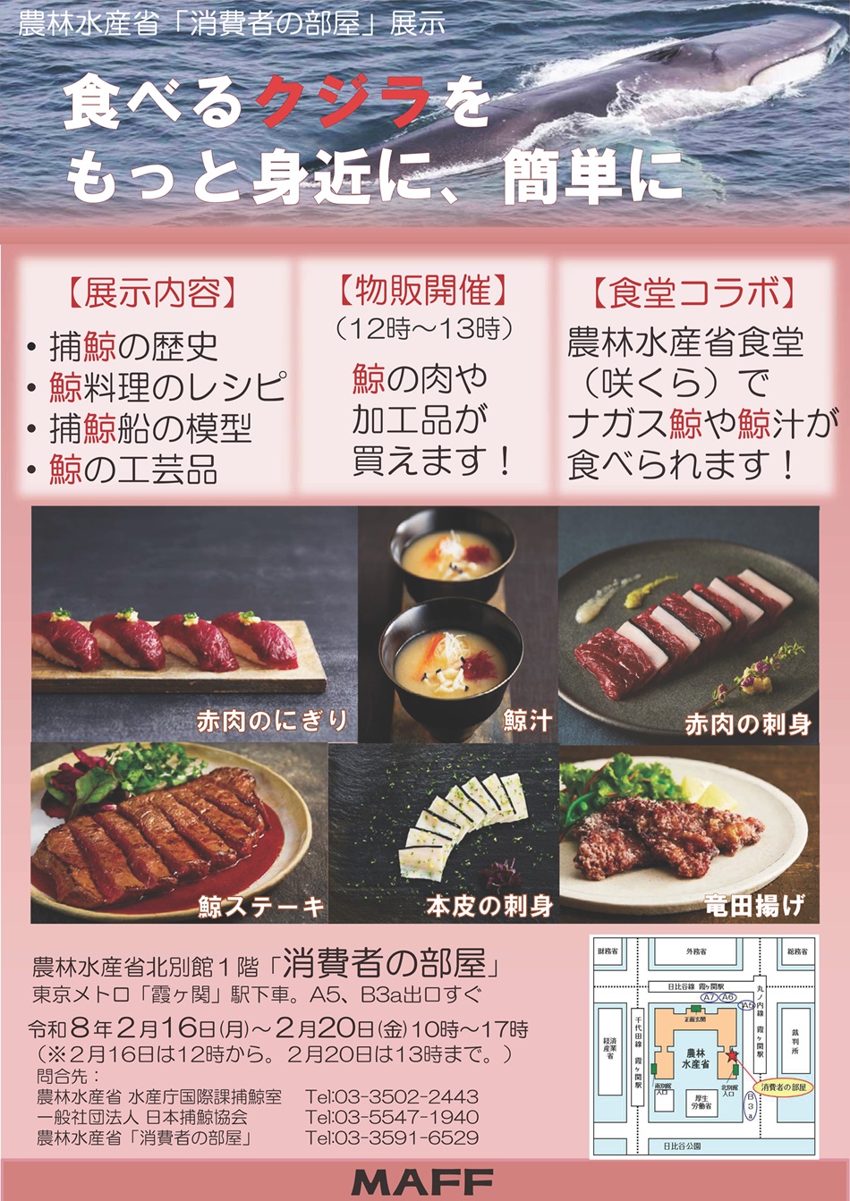 展示チラシの画像（食べる鯨をもっと身近に、簡単に！）