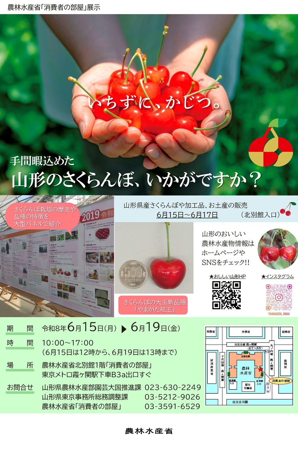 山形県内で栽培されている様々なさくらんぼ品種の特徴などを紹介します。また、山形県のさくらんぼ栽培について、栽培が広まった経過、栽培技術や品種の変遷などを歴史年表で解説します。さらに、山形県産さくらんぼやさくらんぼ関連商品の販売を北別館玄関にて行います