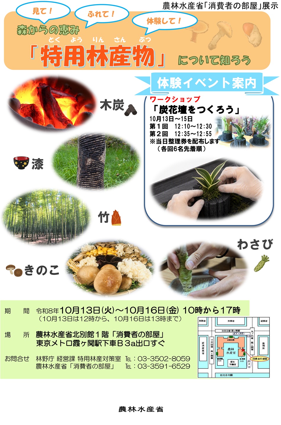 展示では、きのこや木炭、竹製品、漆器等について、実物やパネルを用いて紹介します
