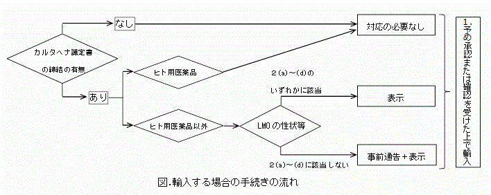 輸入手続きの流れ