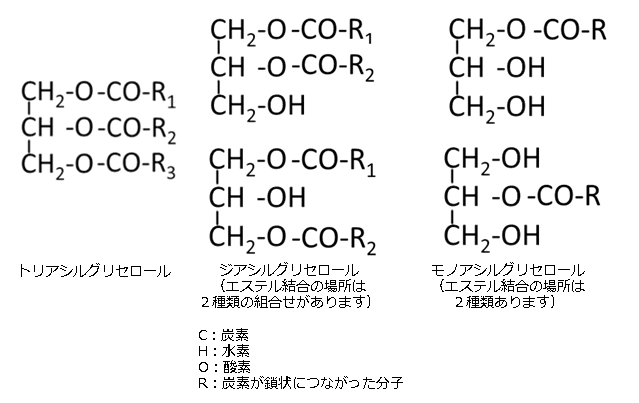 アシルグリセロール