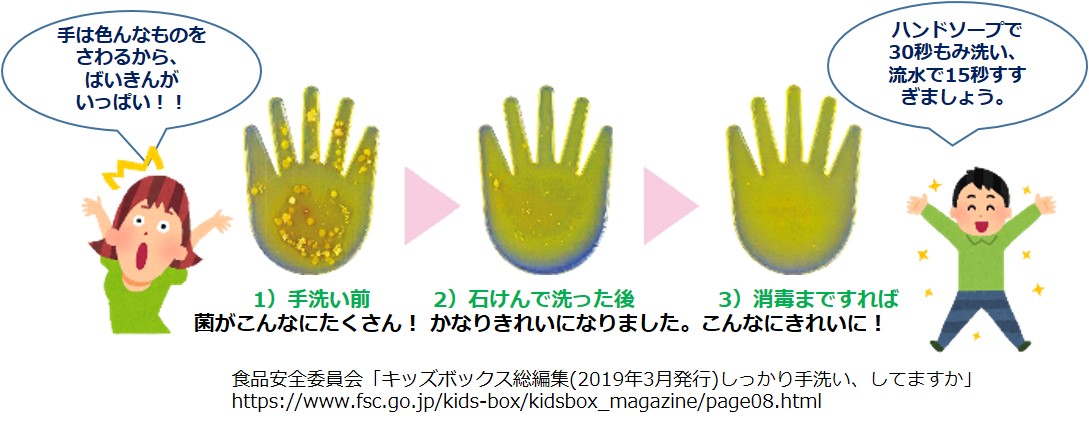 てあらいのこうか