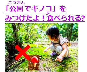 こうえんできのこをみつけたよ