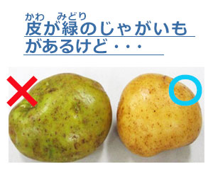 かわがみどりのじゃがいもがあるけど・・・
