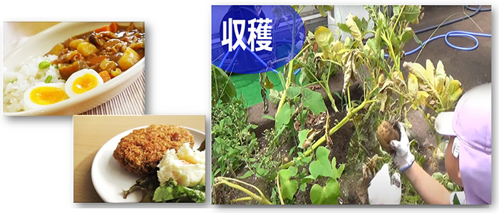 みんなだいすきなじゃがいも