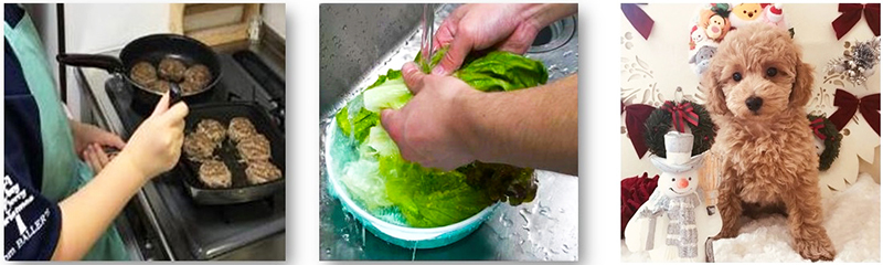 しょくちゅうどくよぼうのポイント