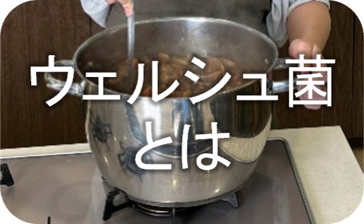 ウェルシュ菌とは