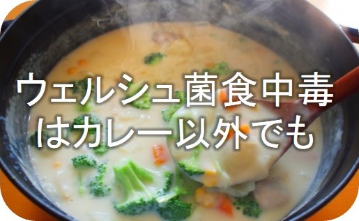 ウェルシュ菌食中毒はカレー以外でも